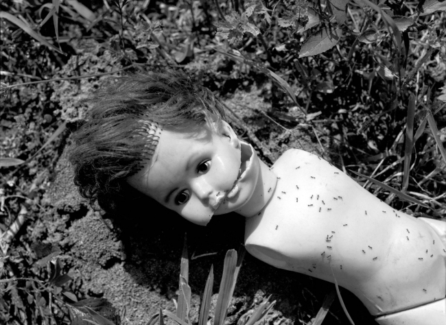 Bosnalı fotoğraf sanatçısı Tarık Samarah’ın objektifinden Srebrenitsa Soykırımı